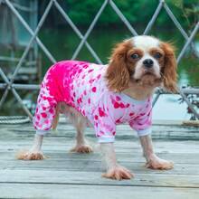 CuteBone Sweet Heart Gradient Pet Four-Legged Pajamas, Warm Autumn And Winter Dog And Cat , Adorable Valentine's Day Pet Home Clothes - Pink - View 8