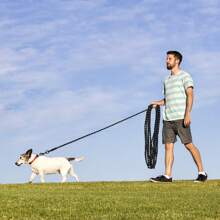 Dog Traction Rope, Dog Walking Rope, Extra Long Rope, Small Dog, Large Dog, P Rope, Explosion-Proof Flushing, Dog Walking Rope, Anti Bite And Breakage