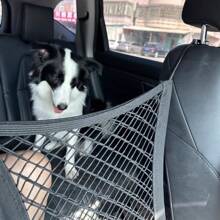 Pet Dog Car Back Seat Barrier Mesh Net, Vehicles Dog Isolation Divider Net