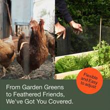 1PC Plastic Mesh Roll, For Poultry, Dogs, Rabbits, Chicken, Snake Barriers, And Gardening, Plastic Chicken Wire, Versatile Plastic Fence And Garden Mesh, Hexagonal Fencing For Gardening, Floral Netting, Poultry Fence