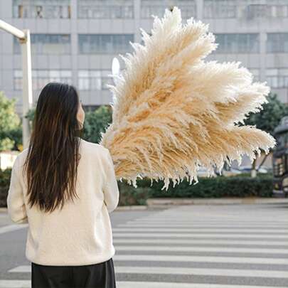 10/20/30 piezas Tallos de Pasto Pampa Beige Esponjoso de 60/100 cm de altura, Ramo de Pasto Pampa Seco, para agregar estilos bohemios y rústicos a tu espacio - El Pasto Pampa es una opción ideal para arreglos florales, decoración del hogar, ceremonias de graduación, homecoming/relleno de jarrones, bodas y crear un ambiente bohemio en casa. Perfectamente adecuado para decoraciones de Navidad, Halloween y bodas, decoración de otoño, plantas falsas