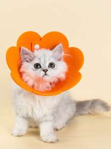 طوق إليزابيث للقطط، طوق تعقيم، طوق كلب، طوق قطة، مخروط إليزابيث، طوق رقبة مضاد للحك، لوازم الحيوانات الأليفة