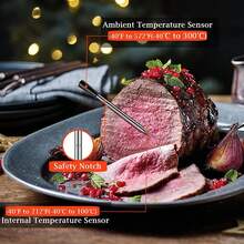 Smart Bluetooth Wireless Meat Thermometer With Digital Display App Compatible For Oven, Air Fryer, Smoker, Sous Vide Cooking (1 Probe Included)