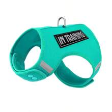 Conjunto de Coleira e Peitoral para Cachorros Pequenos, Material de Malha Respirável, Design de Fivela de Botão, Fácil de Usar, Fita Mágica Ajustável, Adequado para Passeios ao Ar Livre