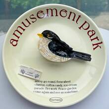 鸟与花系列发夹，小众设计鹦鹉醋酸纤维发夹，卡通拼布鸟发夹，创意可爱大雏菊醋酸纤维发夹，向日葵发夹，可爱甜美花朵发髻发夹，高品质水钻发夹 - 彩色 - 查看 25