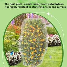 حقيبة شبكة مضادة للحشرات لنبات البستان ، غطاء شبكي مقاوم للحشرات للأشجار المثمرة وللحديقة قطعة واحدة