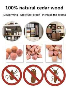 10pcs Cedar Wood Block Assortment For Closet Storage Stop Clothes Damage, Wardrobe Freshener, Moth Repellent, Insect/Pest Control, Home, Bathroom, Wardrobe Essential