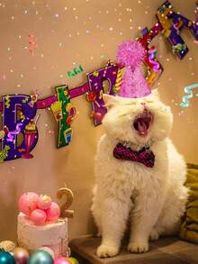 5 Peças Chapéus de Festa Mini Reutilizáveis, Chapéus de Aniversário para Cachorro e Gato com Pompom, Chapéus de Festa de Aniversário em Formato de Cone para Cães de Médio e Grande Porte, Chapéus de Festa de Aniversário para Animais de Estimação Ajustáveis com Pompom, Adequados para Decoração de Aniversário, Casamento, Fantasia de Halloween, Suprimentos de Festa de Halloween, Doces de Halloween, Lembrancinhas de Halloween - Multicolorido - Visão 4