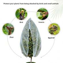 حقيبة شبكة مضادة للحشرات لنبات البستان ، غطاء شبكي مقاوم للحشرات للأشجار المثمرة وللحديقة قطعة واحدة