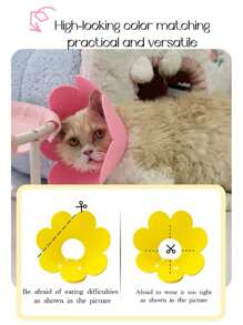 طوق إليزابيث للقطط، طوق تعقيم، طوق كلب، طوق قطة، مخروط إليزابيث، طوق رقبة مضاد للحك، لوازم الحيوانات الأليفة
