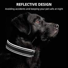 Pet Basic Dog Collars - EBONY - View 6