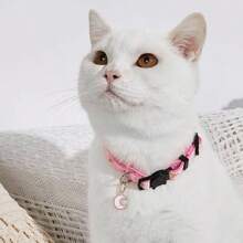 Collar personalizado para gatos, collar de mascota gatito con estrellas y luna con cascabel, colgante de placa de identificación con nombre de mascota grabado - ¡el regalo perfecto para tu mascota! Ornamental, grabado, acero inoxidable, elegante, de moda, colorido, vintage, lindo, compacto, lindo, personalizado, único, personalizado, para aniversarios, para cumpleaños
