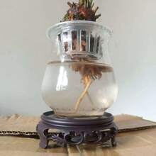 1pc Round Plastic Planter Saucer, Durable Flower Pot Decor Display Tray, Retro Planter Stand Holder, Potted Plant Decoration Base, Garden Yard Decor