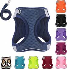 Dog Harness With Leash Set, No-Pull Step-In Reflective Pet Harness With 1 Leash Clips, Adjustable Soft Padded  Dog Vest Small Medium Large Dogs, Cats(Bright Red, XXXSmall)8GGY - 藍色 - 查看 1