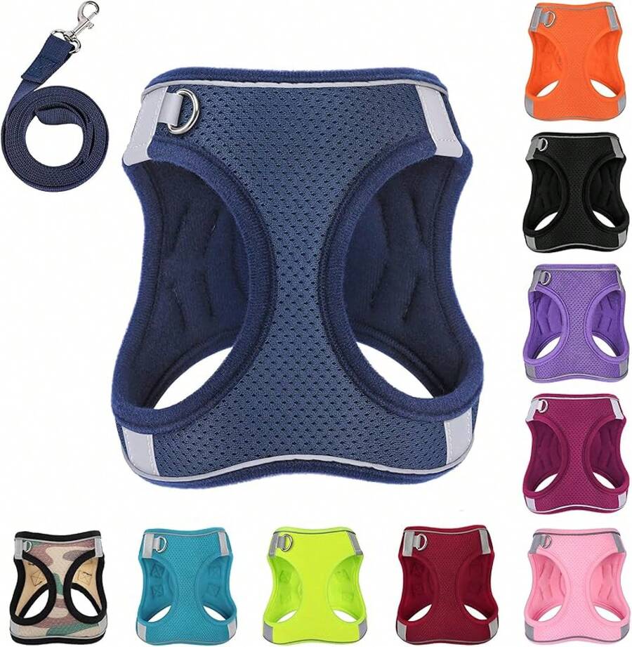 Dog Harness With Leash Set, No-Pull Step-In Reflective Pet Harness With 1 Leash Clips, Adjustable Soft Padded Dog Vest Small Medium Large Dogs, Cats(Bright Red, XXXSmall)8GGY - 藍色 - 查看 1