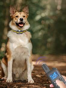 1pc New Dog Training Collar, 800M Remote Control, Waterproof, Electric Shock & Vibration, 3 Training Modes, Adjustable Sound Level, Flash Light, IP67 Waterproof, Pet Supplies