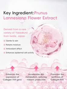 LAIKOU 2支莱寇日本樱花深层滋养护手霜和护足霜，每支30克，抗皱护手霜，保湿护足霜，美白身体护理霜，适合女性、妈妈、妻子、姐妹、青少年、女朋友，旅行、露营、徒步、户外SPA必备，也是送给女朋友的SPA级自用好礼。 - Hand & Foot Cream - 查看 5