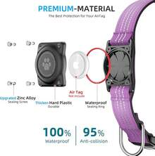 Pet Basic Dog Collars - Purple - View 3