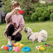 Sets de 5/10 juguetes chillones aleatorios para perros - Juguetes de peluche interactivos para masticar, sin batería requerida, patrones lindos surtidos, adecuado para alivio de la dentición y el aburrimiento, apto para todas las razas y tamaños