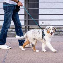 Nueva correa para pasear perros, correa reflectante de nylon para mascotas, cuerda resistente para caminar con cachorros con asa de espuma, correa redonda reflectante, cómoda y resistente