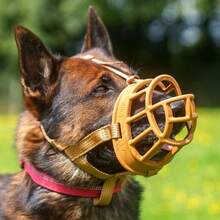 BASKERVILLE ULTRA MUZZLE - Patented Humane Design, Breathable, Dog Can Pant And Drink, Adjustable, Padded, Dog Training Muzzle For Large Dogs, Prevents Biting, Wildlife Scavenging (Size 5, Black) - 4 - View 2