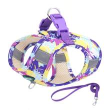 Dog Harness And Leash Set, No Pull Pet Harness For Small Dogs Easy Walking, Soft Breathable Small Dog Harness, Adjustable Reflective Step In Vest Harness For Puppy