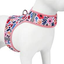 Modischer bedruckter Hundegeschirr für kleine Hunde, atmungsaktives Mesh-Material, Schnappverschluss, leicht an- und ausziehbar, verstellbarer Klettverschluss für Spaziergänge mit Hunden Outdoor - Verschiedenfarbig - Übersicht 13