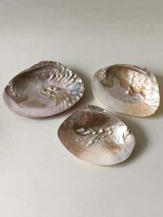 1 Piece Shell Decorations - Resin Statue Art Crafts, Shell Tray; Suitable For Bookshelf Home Living Room Office Coffee Shop Decoration, Room Desktop Arrangement Entryway Decoration, Home Decoration Suitable For DIY Wedding Centerpieces, Wedding Favors; Halloween Decoration Tray