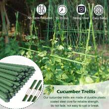 17件套坚固耐用的花园支撑架套装，帮助您的蔬菜和水果垂直安全生长，多功能花园支撑杆套装，可自由组合组装。 - 軍綠色 - 查看 8