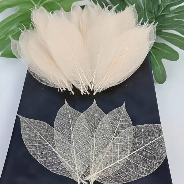 30pcs Magnolia Dried Flower Pressed Leaves Handmade DIY Photo Frame, Phone Case, Christmas, Halloween Floral Craft Scrapbooking Supplies