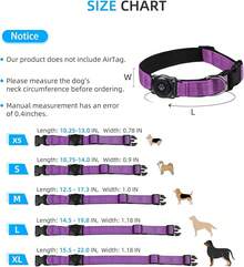 Pet Basic Dog Collars - Purple - View 6