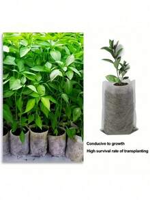 100  Non-Woven Fabric Seed Start Bags - White Fabric Planting Bags, Suitable For Home Gardens And Agricultural Uses, Soil Transplanting And Seedling Growth - White - View 9