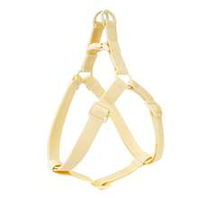 Harnais de mode pour animaux de compagnie en matériau PVC imperméable, à dégagement rapide, convient aux chiens de différents types de corps - Multicolore - Voir 8