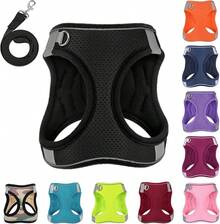 Dog Harness With Leash Set, No-Pull Step-In Reflective Pet Harness With 1 Leash Clips, Adjustable Soft Padded  Dog Vest Small Medium Large Dogs, Cats(Bright Red, XXXSmall)8GGY - 黑色 - 查看 1