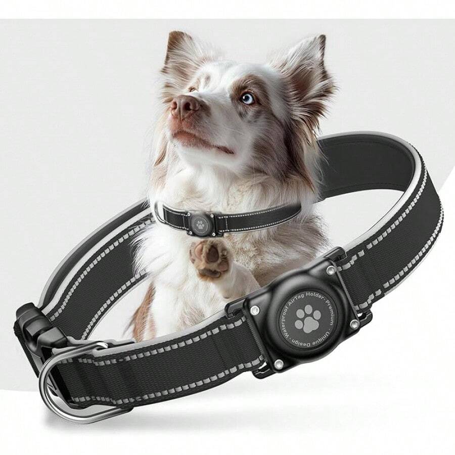 Pet Basic Dog Collars - EBONY - View 1