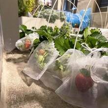 100 piezas Bolsas de malla de nailon blanco, bolsas protectoras de frutas, bolsas de jardín para control de insectos y plagas para fresas, uvas, verduras y plantas, con cordón