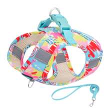 Dog Harness And Leash Set, No Pull Pet Harness For Small Dogs Easy Walking, Soft Breathable Small Dog Harness, Adjustable Reflective Step In Vest Harness For Puppy