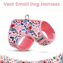 Modischer bedruckter Hundegeschirr für kleine Hunde, atmungsaktives Mesh-Material, Schnappverschluss, leicht an- und ausziehbar, verstellbarer Klettverschluss für Spaziergänge mit Hunden Outdoor - Verschiedenfarbig - Übersicht 4