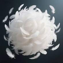 Set de 100 piezas de plumas de color rosa degradado suaves y esponjosas - Decoraciones de boda, fondos de escenario, suministros para fiestas que pueden usarse para hacer atrapasueños de bricolaje, sin caja de regalo - Multicolor - Ver 3