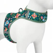 Modischer bedruckter Hundegeschirr für kleine Hunde, atmungsaktives Mesh-Material, Schnappverschluss, leicht an- und ausziehbar, verstellbarer Klettverschluss für Spaziergänge mit Hunden Outdoor - Verschiedenfarbig - Übersicht 12
