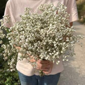 50/100/150g Flores de paniculata y otras flores secas - Para moldes de resina, artesanía, ramos de flores blanco marfil para accesorios para el cabello, coronas de boda, jarrones de mesa, decoración del hogar