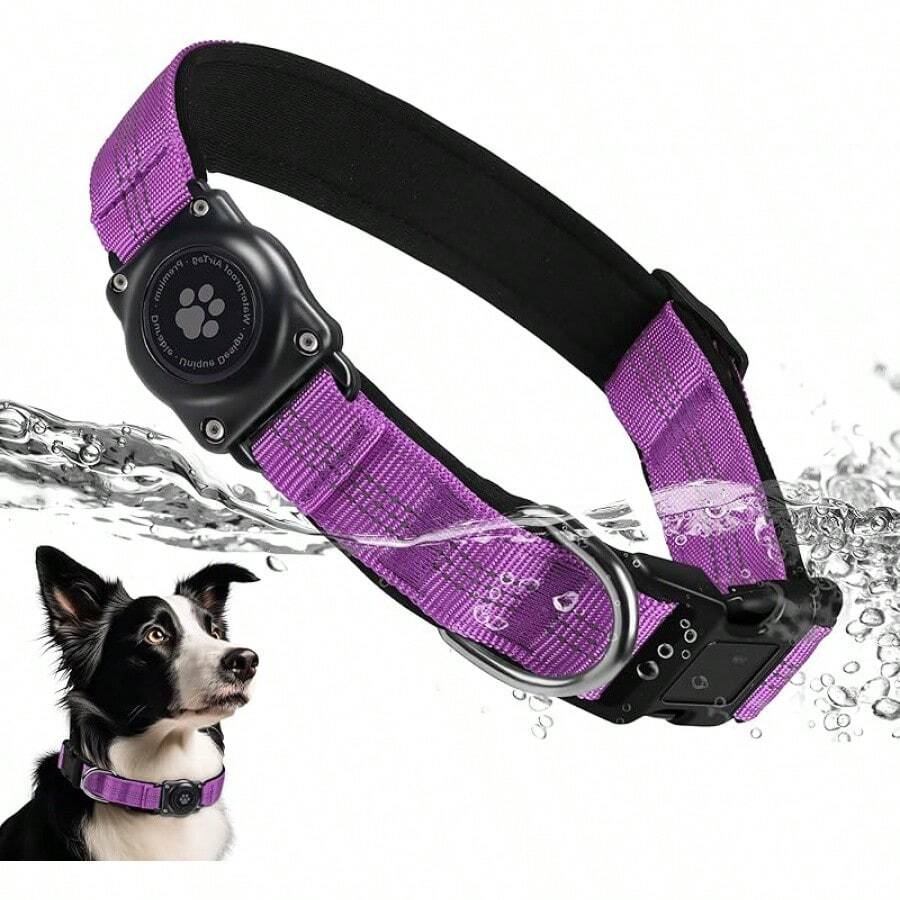 Pet Basic Dog Collars - Purple - View 1