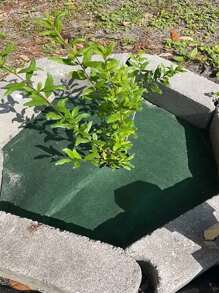 Control Landscape Fabric, Breathable Ground Cover Mat For Flower Bed, Gardening, Fruit Trees, Greenhouse, Woven Fabric