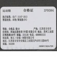 Adidas 女款 ADIZERO SL2 W 低帮跑步鞋 IF9384 - 綠色 - 查看 6