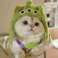 1/2pcs Bunny Ears For Cat And Puppy, Plush Bunny Hat With Ears For Cat And Puppy, Cute Easter Party Role Play Costume Pet Headdress Accessories