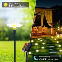 Luces solares de camino - 20 luces de jardín tipo margarita LED, luces decorativas impermeables para exteriores, adecuadas para pared, césped, patio, camino, paisajismo