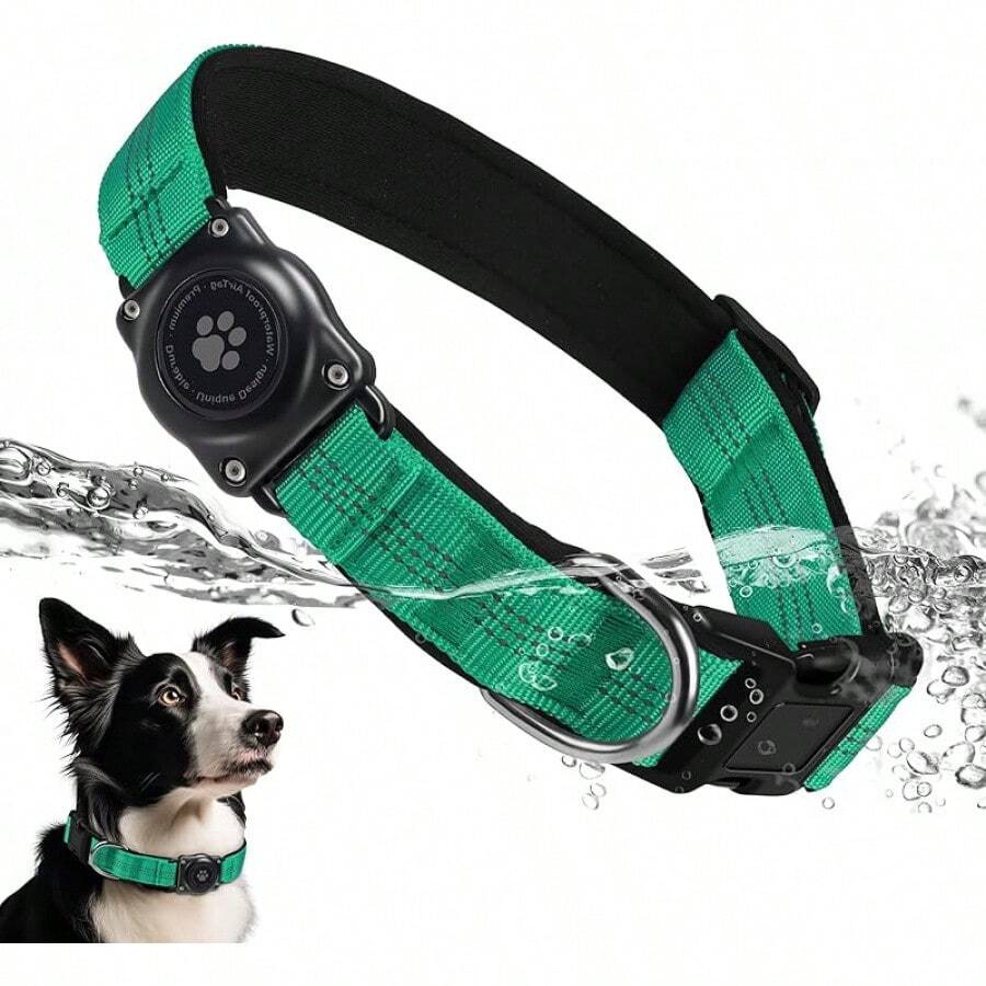 Pet Basic Dog Collars - Teal - View 1