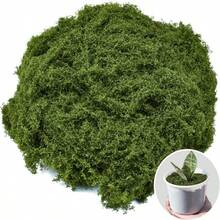 300 جرام / 10.58 أونصة ، 100 جرام / 40 جرام ، نجيل صناعي من الطحالب المزيفة ، نظام بيئي مصغر، نجيلة خضراء ، ديكور نباتات المزهريات والنوافذ ، تصميم المناظر الطبيعية - أخضر - مشاهدة 4