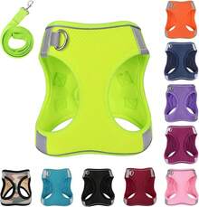 Dog Harness With Leash Set, No-Pull Step-In Reflective Pet Harness With 1 Leash Clips, Adjustable Soft Padded  Dog Vest Small Medium Large Dogs, Cats(Bright Red, XXXSmall)8GGY - 螢光 - 查看 12
