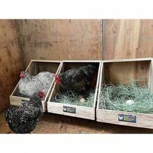 Single Compartment Hen Nesting Box, Wooden  Accessory Up To 5 Hens, Heavy-Duty Laying Nest Ducks And Poultry (1 Pack) - 1 - View 5